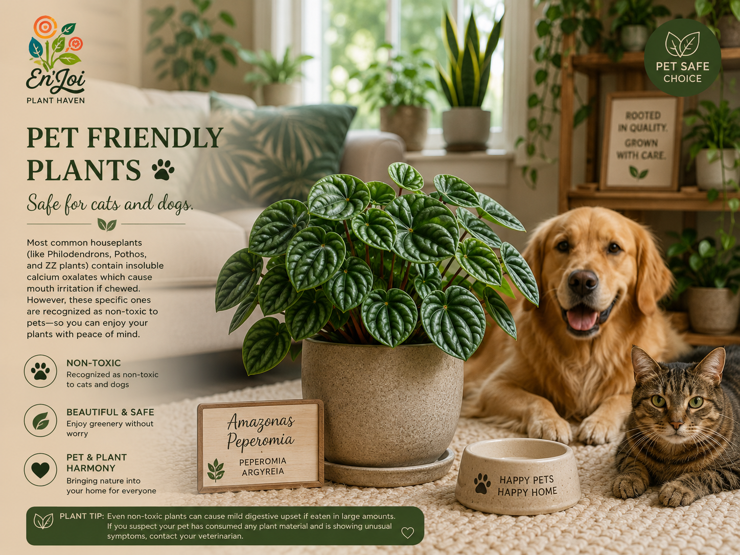 Pet Friendly Plants