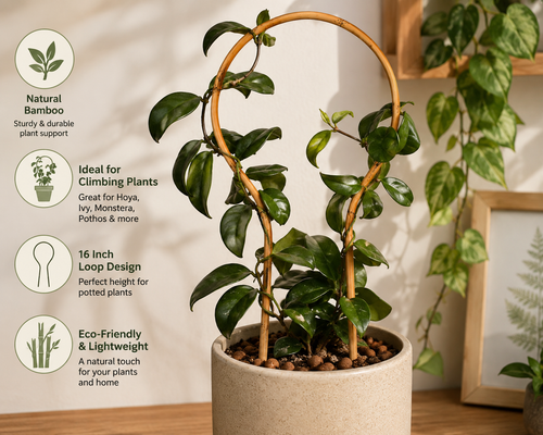16" Mini Bamboo Loop Trellis