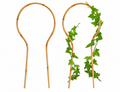 16" Mini Bamboo Loop Trellis