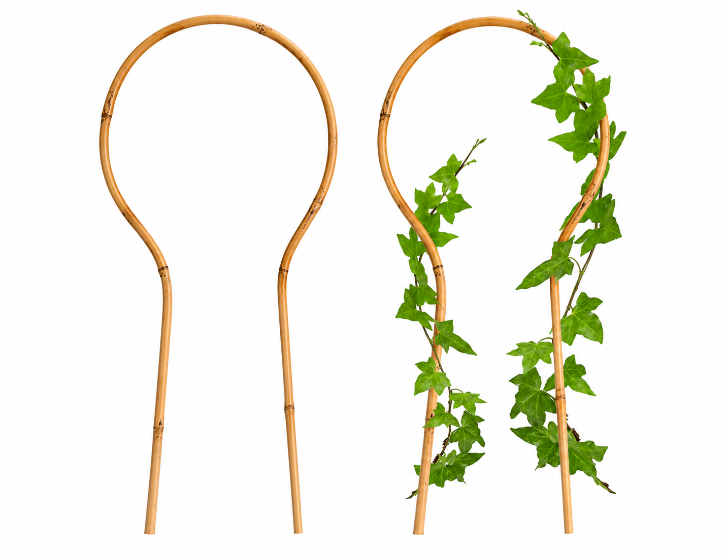 16" Mini Bamboo Loop Trellis
